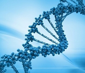 CONSENSO BRASILEIRO SOBRE O USO DE IMUNOGLOBULINA EM IMUNODEFICI�NCIAS: FA�A O DOWNLOAD